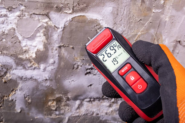 Best Mold Testing  in Elm Springs, AR
